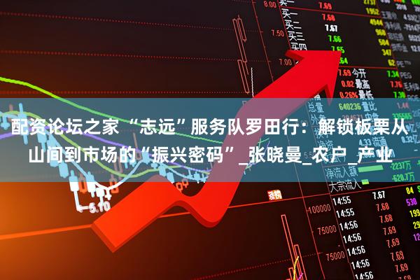配资论坛之家 “志远”服务队罗田行：解锁板栗从山间到市场的“振兴密码”_张晓曼_农户_产业