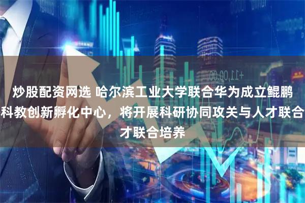炒股配资网选 哈尔滨工业大学联合华为成立鲲鹏昇腾科教创新孵化中心，将开展科研协同攻关与人才联合培养